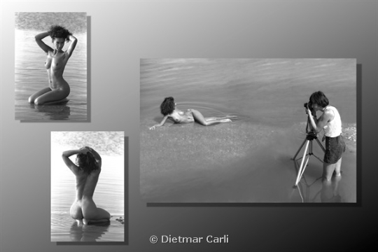 Portfolio - Dietmar Carli