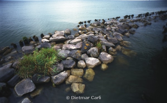 Portfolio - Dietmar Carli