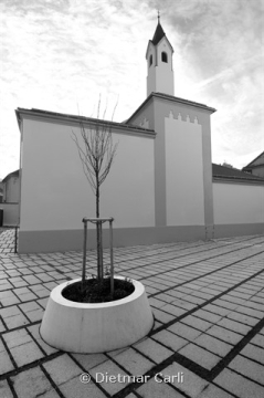 Portfolio - Dietmar Carli