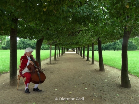 Portfolio - Dietmar Carli