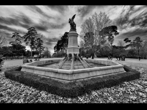 Portfolio - Dietmar Carli