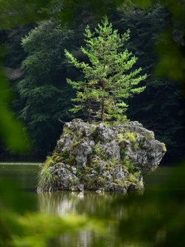 Portfolio - Dietmar Carli