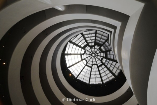 Portfolio - Dietmar Carli