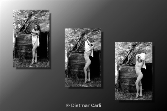 Portfolio - Dietmar Carli