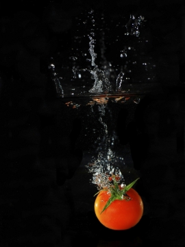 Portfolio - Jasmin Carli